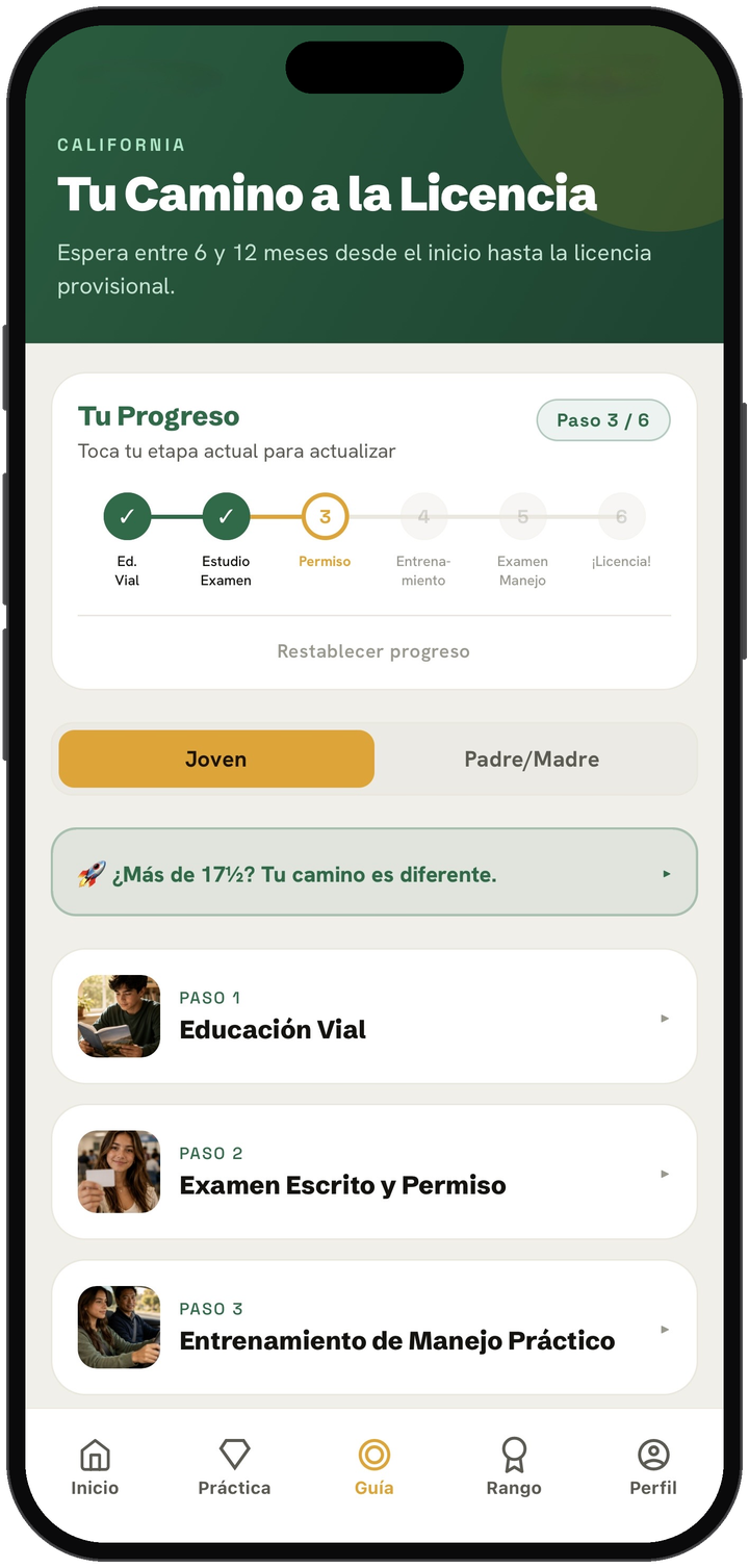 Guía de licencia