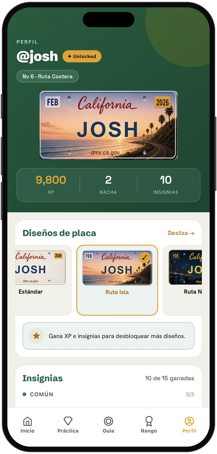 Perfil y placas